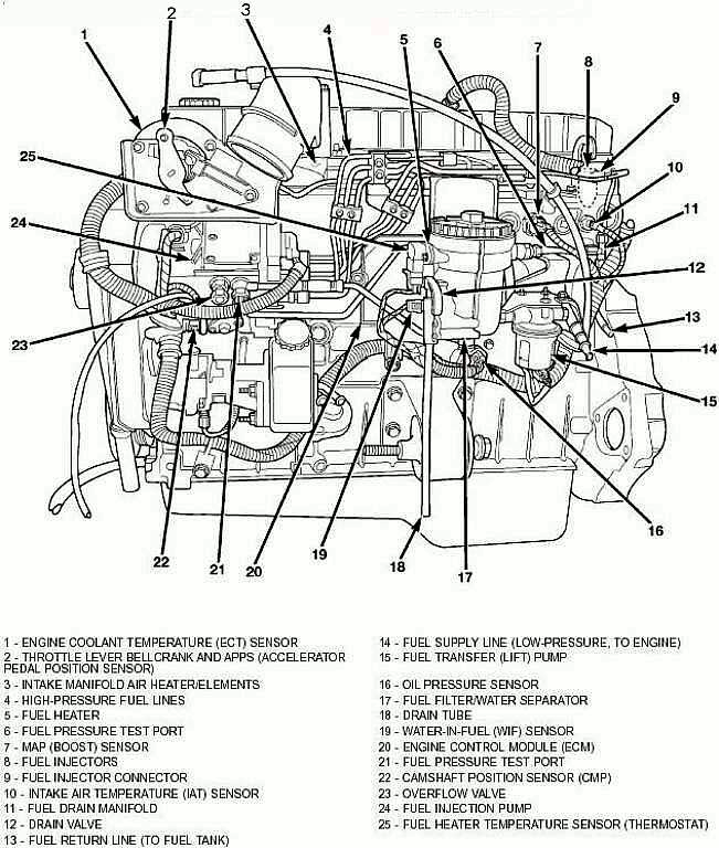 Cummins 24 Valve Engine Diagram